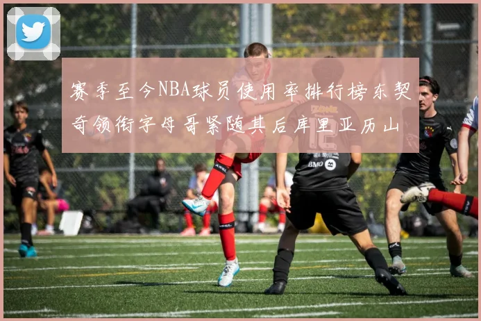 赛季至今NBA球员使用率排行榜东契奇领衔字母哥紧随其后库里亚历山大表现抢眼