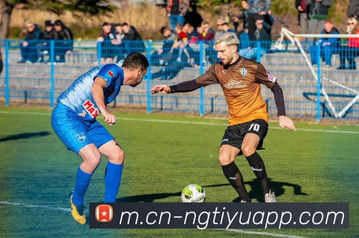 南宫体育服务体系